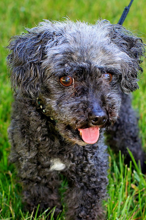 Cubby