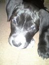 Cilla