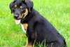 Thelma Lou