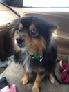 Spencer