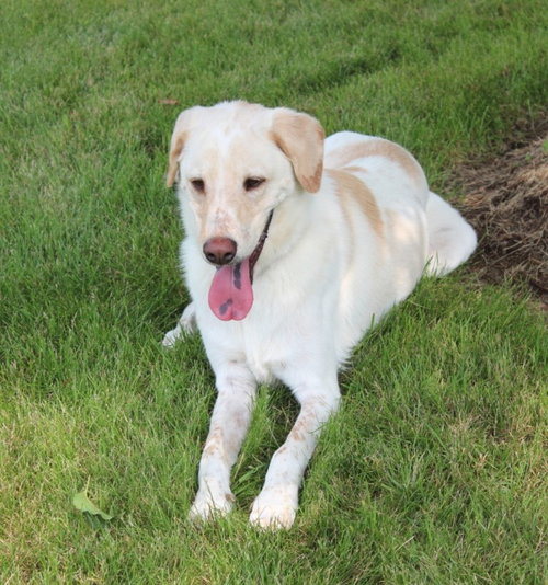 Shiloh