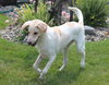 Shiloh