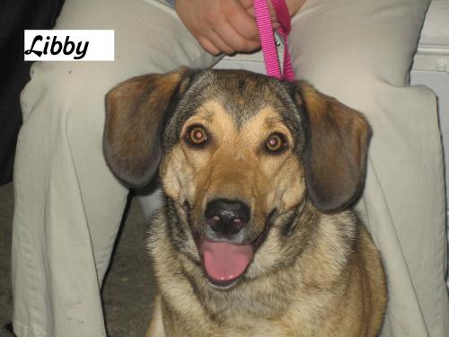 Libby