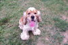 Charlie