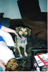 Libby