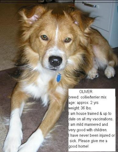 Oliver