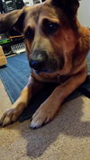 Charlie