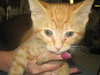 Tigger