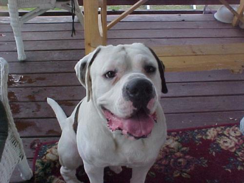Tyson