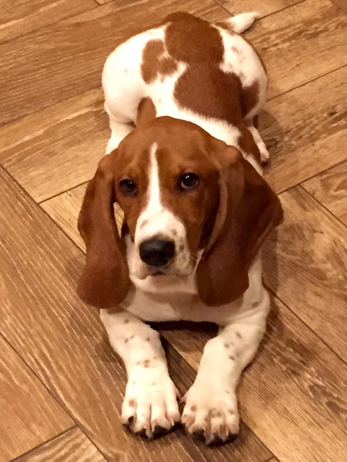 Buster
