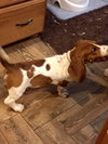 Buster