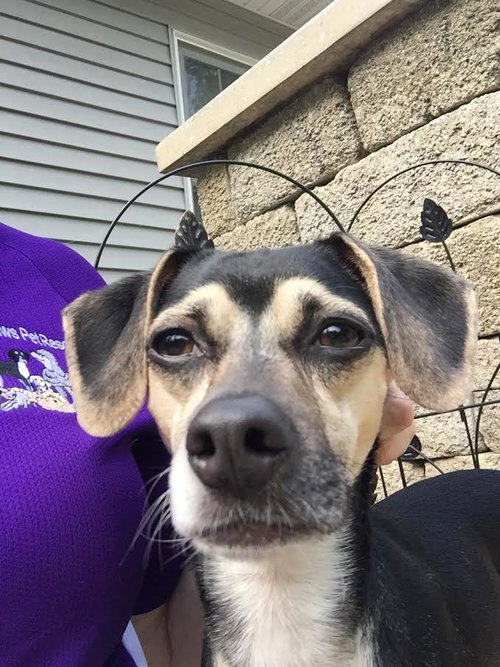 Coco