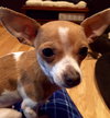 Lexy