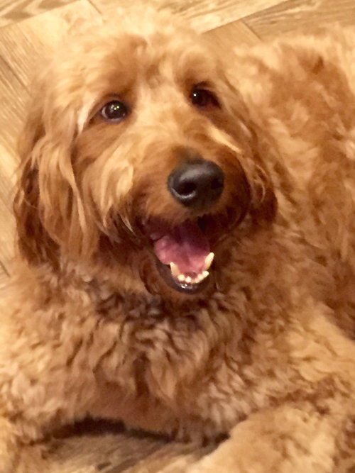 Cooper