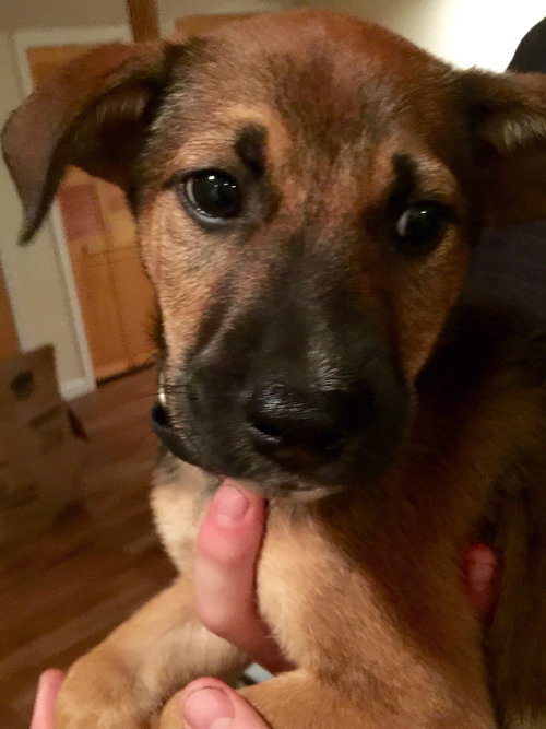 Diego