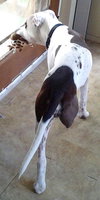 Buster