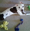 Buster