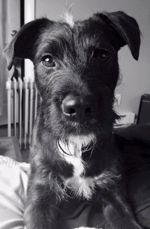 Murphy