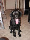Zoee