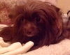 Rudy