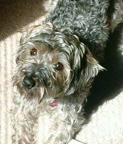 Lilly