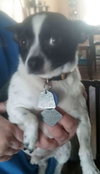Skippy
