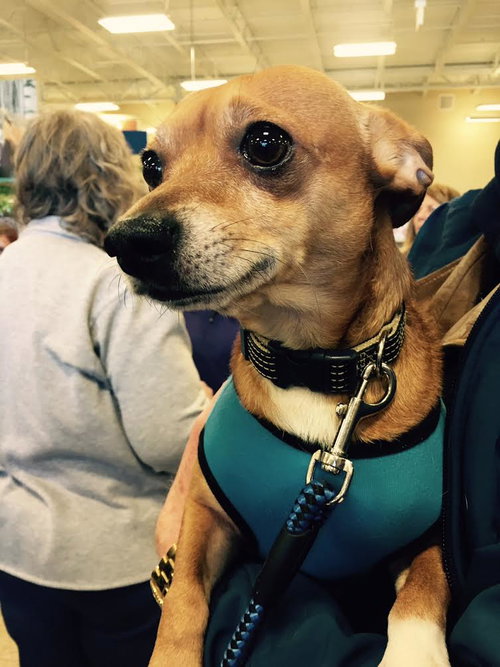 Chester