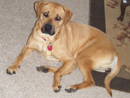 Georgia