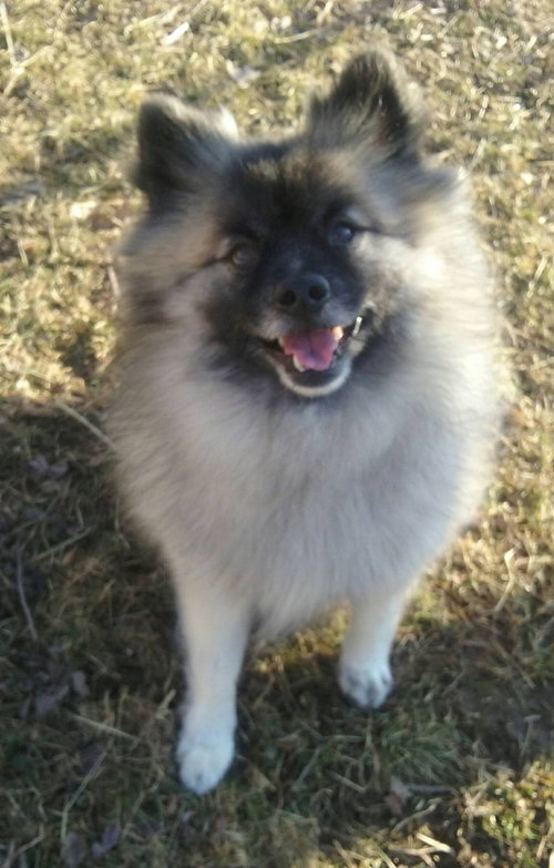 Gunther