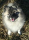 Gunther