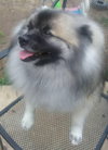 Gunther