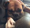 Gretchen