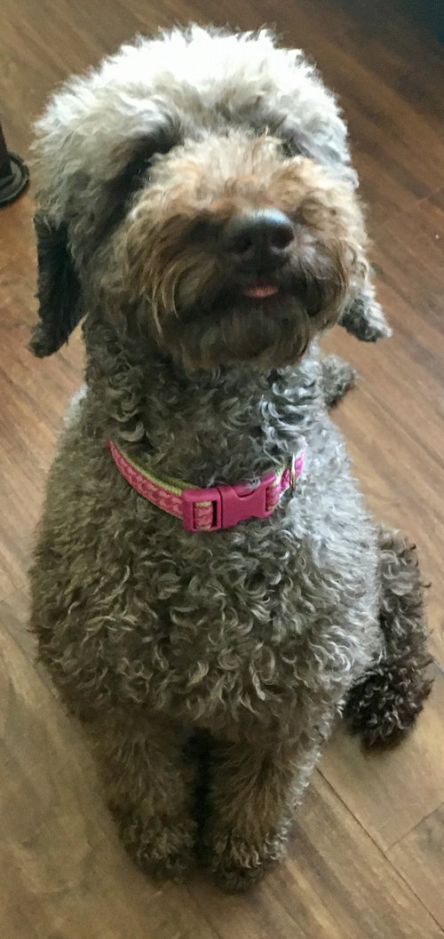 Lucy