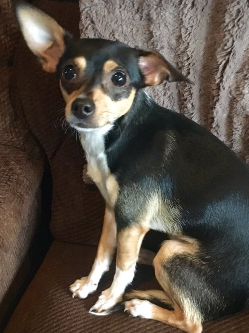 Minnie