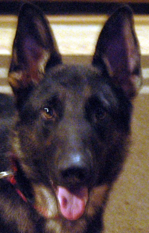Mocha