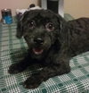 Winston