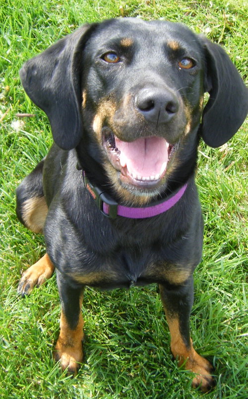 Winnie