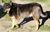 Thelma - Photo 2