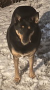 Thelma - Photo 1