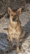 Max - Photo 1