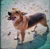 Max - Photo 2