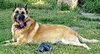 Sasha - Photo 2