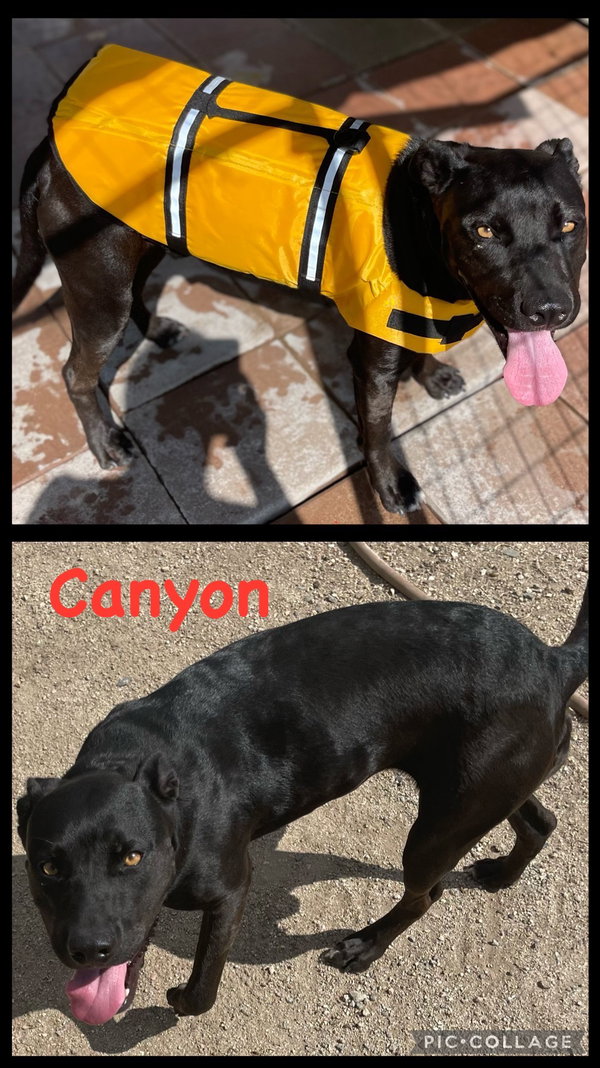 Canyon