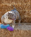 Macy Mae - Photo 2