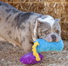 Macy Mae - Photo 3