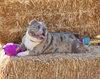 Macy Mae - Photo 4