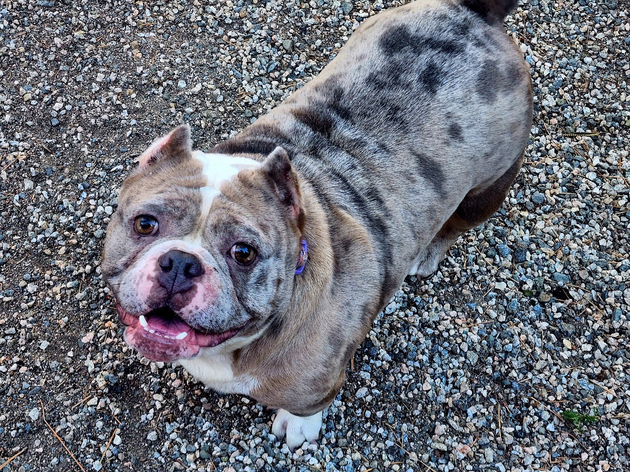 Macy Mae
