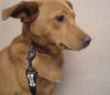 betty