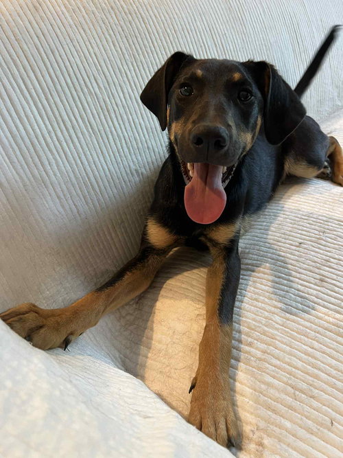 Oliver