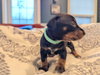 Tilly